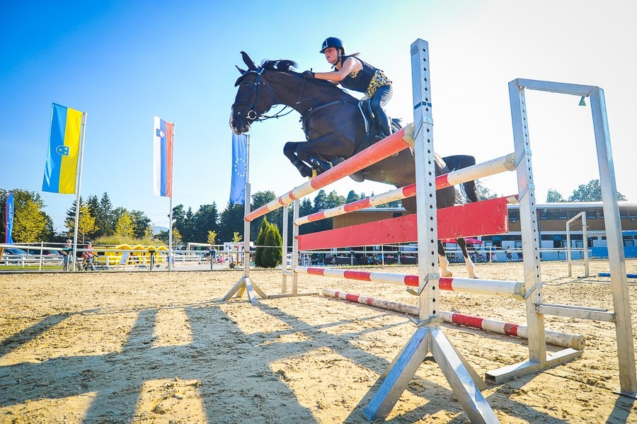 Riding School