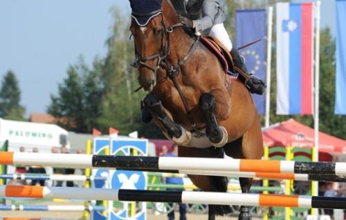 Državno prvenstvo 2013
